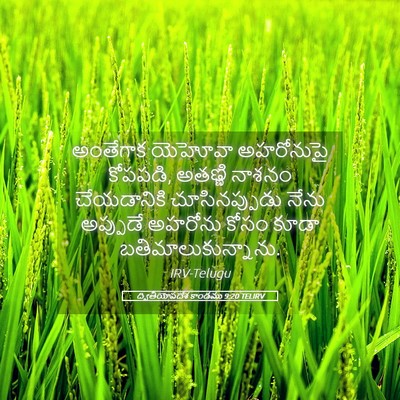 Picture 05 - ద్వితీయోపదేశ కాండము 9:20 TELIRV - అంతేగాక యెహోవా - Bible Verse Picture