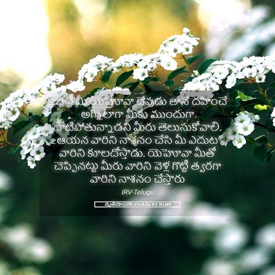 Picture 05 - ద్వితీయోపదేశ కాండము 9:3 TELIRV - కాబట్టి మీ యెహోవా - Bible Verse Picture