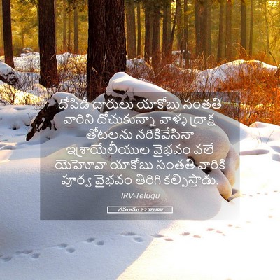 Picture 05 - నహూము 2:2 TELIRV - దోపిడీ దారులు - Bible Verse Picture