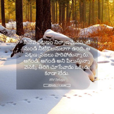 Picture 05 - నహూము 2:8 TELIRV - నీనెవె పట్టణం - Bible Verse Picture