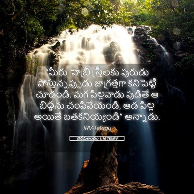 Picture 05 - నిర్గమకాండం 1:16 TELIRV - “మీరు హెబ్రీ - Bible Verse Picture