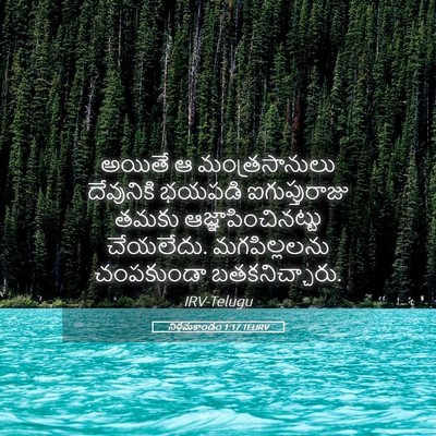Picture 05 - నిర్గమకాండం 1:17 TELIRV - అయితే ఆ - Bible Verse Picture