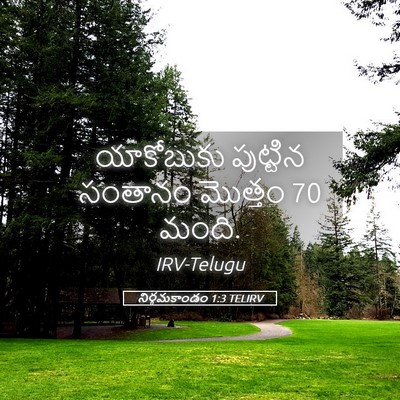 Picture 05 - నిర్గమకాండం 1:3 TELIRV - యాకోబుకు పుట్టిన - Bible Verse Picture