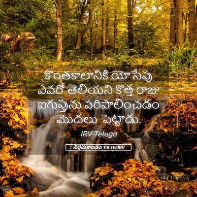 Picture 05 - నిర్గమకాండం 1:8 TELIRV - కొంతకాలానికి - Bible Verse Picture