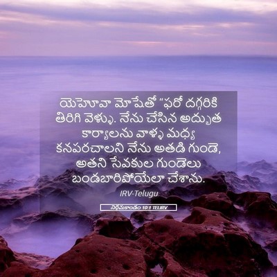 Picture 05 - నిర్గమకాండం 10:1 TELIRV - యెహోవా మోషేతో - Bible Verse Picture