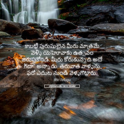 Picture 05 - నిర్గమకాండం 10:11 TELIRV - కాబట్టి పురుషులైన - Bible Verse Picture