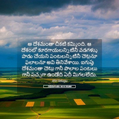 Picture 05 - నిర్గమకాండం 10:15 TELIRV - ఆ దేశమంతా చీకటి - Bible Verse Picture