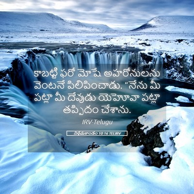 Picture 05 - నిర్గమకాండం 10:16 TELIRV - కాబట్టి ఫరో మోషే - Bible Verse Picture