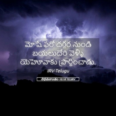 Picture 05 - నిర్గమకాండం 10:18 TELIRV - మోషే ఫరో దగ్గర - Bible Verse Picture