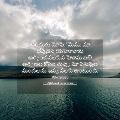 Picture 05 - నిర్గమకాండం 10:25 TELIRV - అందుకు మోషే “మేము - Bible Verse Picture