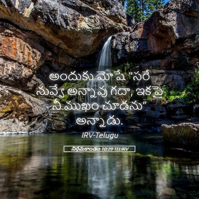 Picture 05 - నిర్గమకాండం 10:29 TELIRV - అందుకు మోషే “సరే - Bible Verse Picture