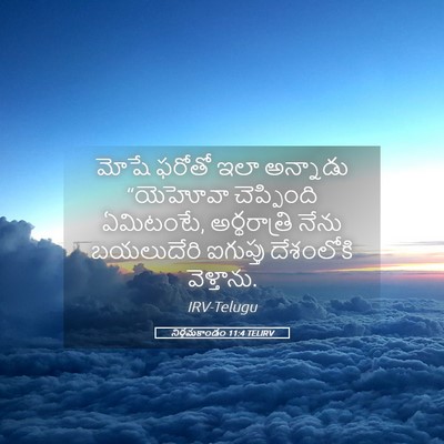 Picture 05 - నిర్గమకాండం 11:4 TELIRV - మోషే ఫరోతో ఇలా - Bible Verse Picture