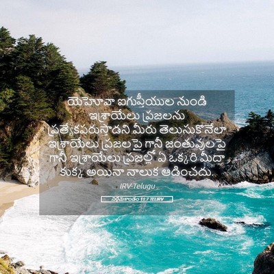 Picture 05 - నిర్గమకాండం 11:7 TELIRV - యెహోవా ఐగుప్తీయుల - Bible Verse Picture