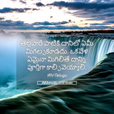 Picture 05 - నిర్గమకాండం 12:10 TELIRV - తెల్లవారే పాటికి - Bible Verse Picture