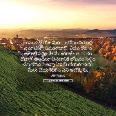 Picture 05 - నిర్గమకాండం 12:16 TELIRV - ఆ మొదటి రోజు మీరు - Bible Verse Picture