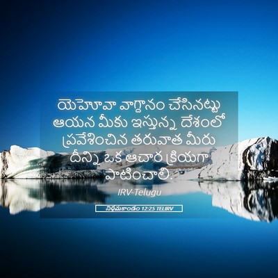 Picture 05 - నిర్గమకాండం 12:25 TELIRV - యెహోవా వాగ్దానం - Bible Verse Picture