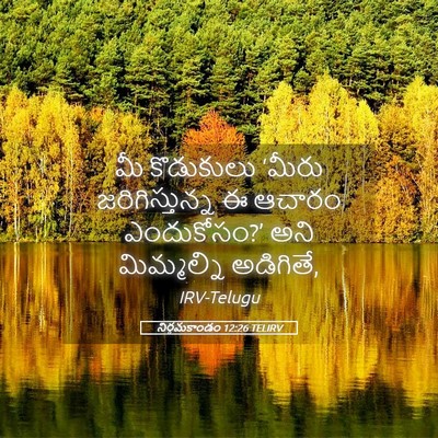 Picture 05 - నిర్గమకాండం 12:26 TELIRV - మీ కొడుకులు ‘మీరు - Bible Verse Picture