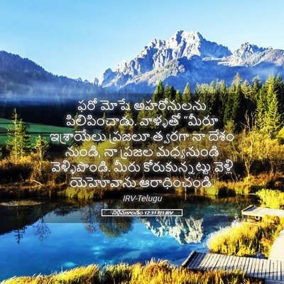 Picture 05 - నిర్గమకాండం 12:31 TELIRV - ఫరో మోషే - Bible Verse Picture