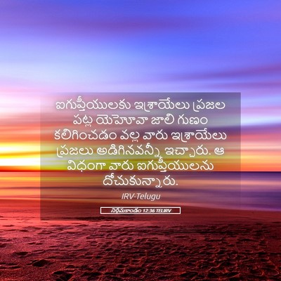 Picture 05 - నిర్గమకాండం 12:36 TELIRV - ఐగుప్తీయులకు - Bible Verse Picture
