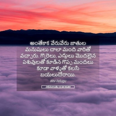 Picture 05 - నిర్గమకాండం 12:38 TELIRV - అంతేకాక వేరువేరు - Bible Verse Picture