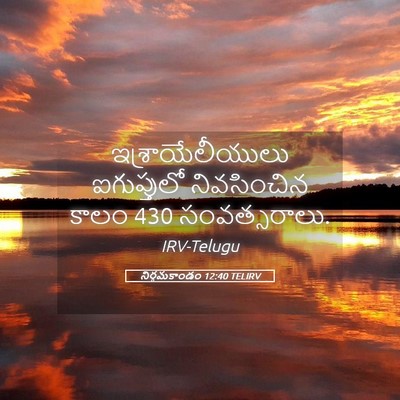 Picture 05 - నిర్గమకాండం 12:40 TELIRV - ఇశ్రాయేలీయులు - Bible Verse Picture