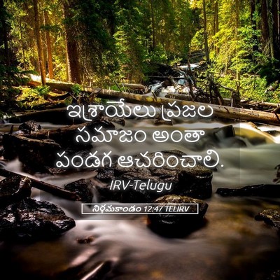 Picture 05 - నిర్గమకాండం 12:47 TELIRV - ఇశ్రాయేలు ప్రజల - Bible Verse Picture