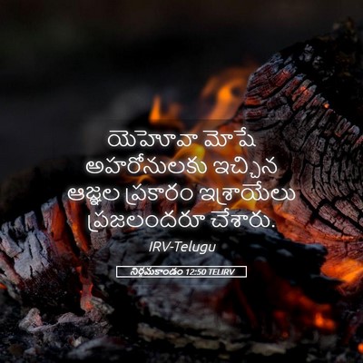 Picture 05 - నిర్గమకాండం 12:50 TELIRV - యెహోవా మోషే - Bible Verse Picture