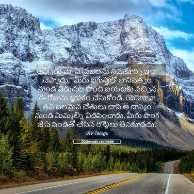 Picture 05 - నిర్గమకాండం 13:3 TELIRV - అప్పుడు మోషే - Bible Verse Picture