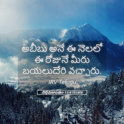 Picture 05 - నిర్గమకాండం 13:4 TELIRV - అబీబు అనే ఈ నెలలో ఈ - Bible Verse Picture