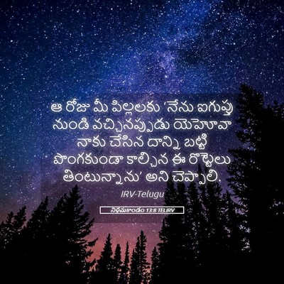 Picture 05 - నిర్గమకాండం 13:8 TELIRV - ఆ రోజు మీ పిల్లలకు - Bible Verse Picture