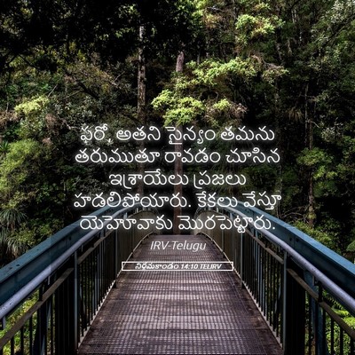 Picture 05 - నిర్గమకాండం 14:10 TELIRV - ఫరో, అతని సైన్యం - Bible Verse Picture
