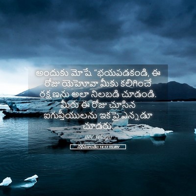 Picture 05 - నిర్గమకాండం 14:13 TELIRV - అందుకు మోషే - Bible Verse Picture