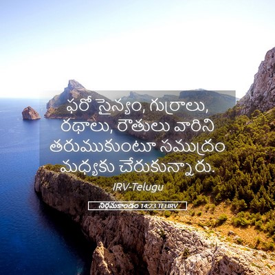 Picture 05 - నిర్గమకాండం 14:23 TELIRV - ఫరో సైన్యం, - Bible Verse Picture