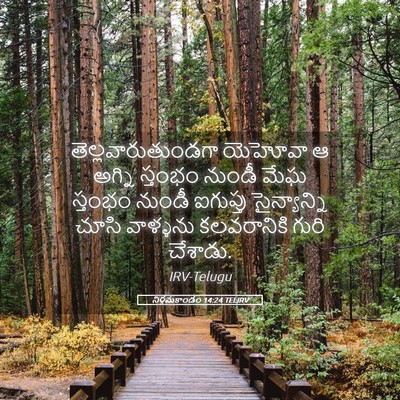 Picture 05 - నిర్గమకాండం 14:24 TELIRV - తెల్లవారుతుండగా - Bible Verse Picture