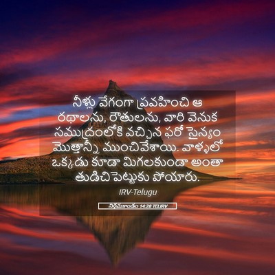 Picture 05 - నిర్గమకాండం 14:28 TELIRV - నీళ్లు వేగంగా - Bible Verse Picture