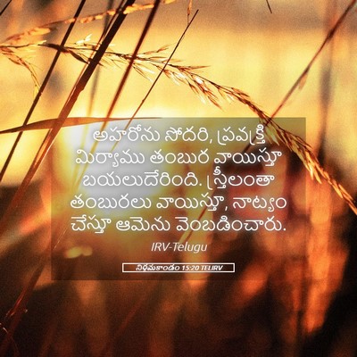 Picture 05 - నిర్గమకాండం 15:20 TELIRV - అహరోను సోదరి, - Bible Verse Picture