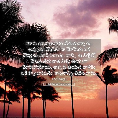 Picture 05 - నిర్గమకాండం 15:25 TELIRV - మోషే యెహోవాను - Bible Verse Picture
