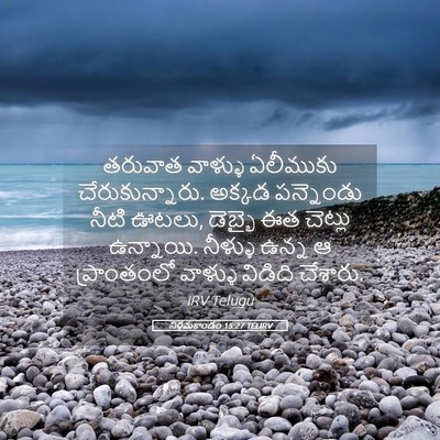 Picture 05 - నిర్గమకాండం 15:27 TELIRV - తరువాత వాళ్ళు - Bible Verse Picture