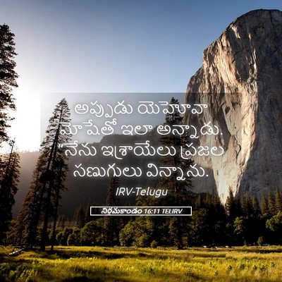 Picture 05 - నిర్గమకాండం 16:11 TELIRV - అప్పుడు యెహోవా - Bible Verse Picture