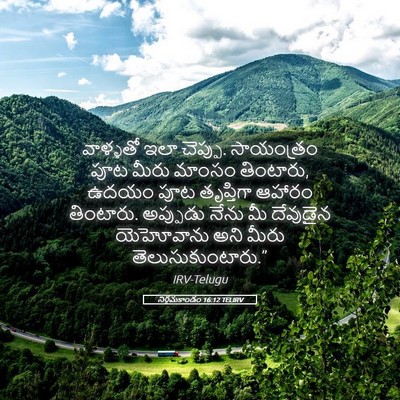 Picture 05 - నిర్గమకాండం 16:12 TELIRV - వాళ్ళతో ఇలా - Bible Verse Picture