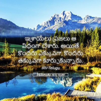 Picture 05 - నిర్గమకాండం 16:17 TELIRV - ఇశ్రాయేలు ప్రజలు - Bible Verse Picture