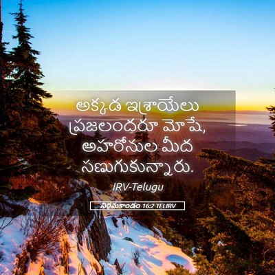 Picture 05 - నిర్గమకాండం 16:2 TELIRV - అక్కడ ఇశ్రాయేలు - Bible Verse Picture