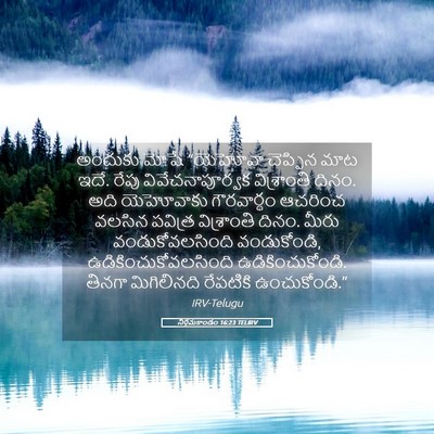 Picture 05 - నిర్గమకాండం 16:23 TELIRV - అందుకు మోషే - Bible Verse Picture