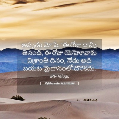 Picture 05 - నిర్గమకాండం 16:25 TELIRV - అప్పడు మోషే “ఈ - Bible Verse Picture