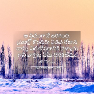 Picture 05 - నిర్గమకాండం 16:27 TELIRV - ఆ విధంగానే - Bible Verse Picture