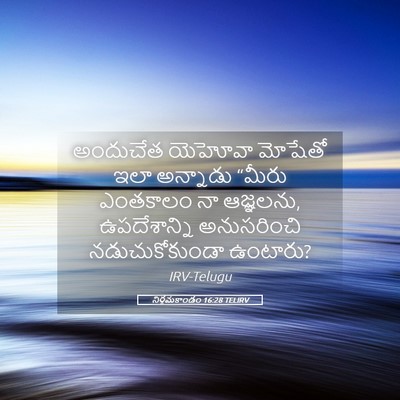 Picture 05 - నిర్గమకాండం 16:28 TELIRV - అందుచేత యెహోవా - Bible Verse Picture