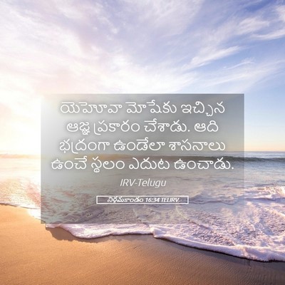 Picture 05 - నిర్గమకాండం 16:34 TELIRV - యెహోవా మోషేకు - Bible Verse Picture