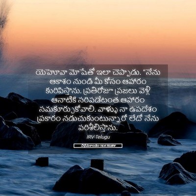 Picture 05 - నిర్గమకాండం 16:4 TELIRV - యెహోవా మోషేతో ఇలా - Bible Verse Picture