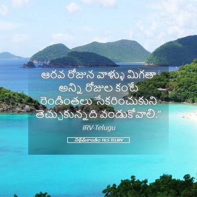 Picture 05 - నిర్గమకాండం 16:5 TELIRV - ఆరవ రోజున వాళ్ళు - Bible Verse Picture