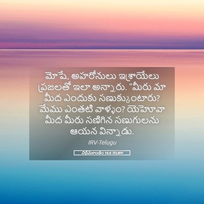 Picture 05 - నిర్గమకాండం 16:6 TELIRV - మోషే, అహరోనులు - Bible Verse Picture
